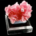 Rhodochrosite, Fluorite - image 1
