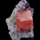 Rhodochrosite, Fluorite on Quartz - image 6