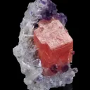 Rhodochrosite, Fluorite on Quartz - image 7