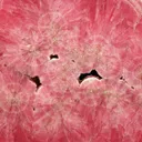 Rhodochrosite from Argentina, Catamarca Province, Capillitas mining district - image 5