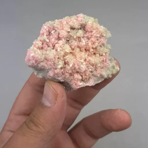 specimen video