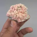 specimen video