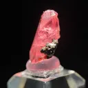 Rhodochrosite from Chihuahua, Mexico - image 6