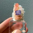 specimen video