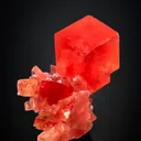 Rhodochrosite from Detroit City Mine, Colorado, USA - image 1