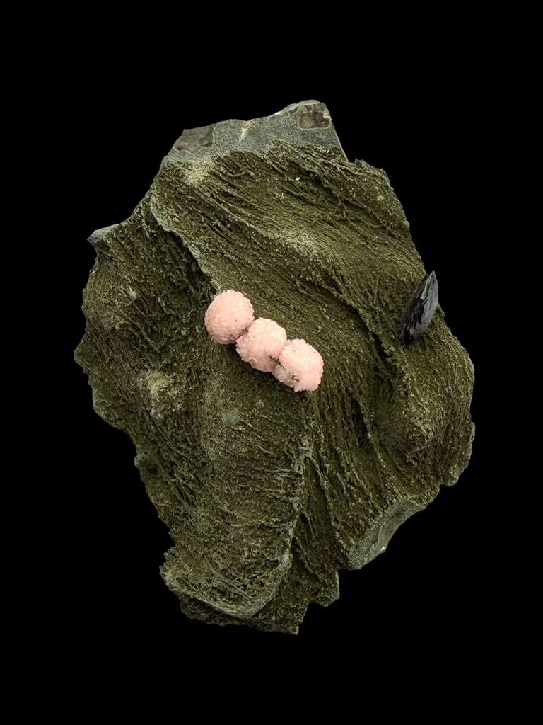 Rhodochrosite from Mexico, Chihuahua, Santa Eulalia Mining District image
