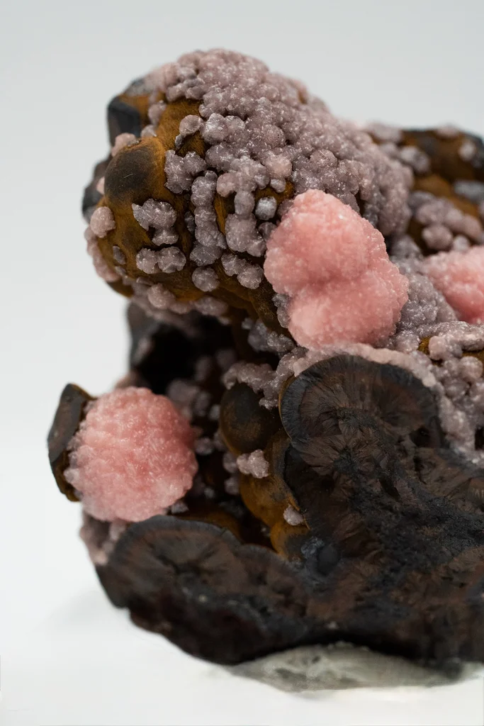 Rhodochrosite from N'Chwaning III Mine, N'Chwaning Mines, Northern Cape, South Africa - image 6