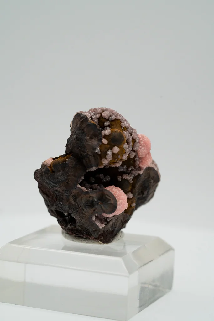 Rhodochrosite from N'Chwaning III Mine, N'Chwaning Mines, Northern Cape, South Africa - image 5