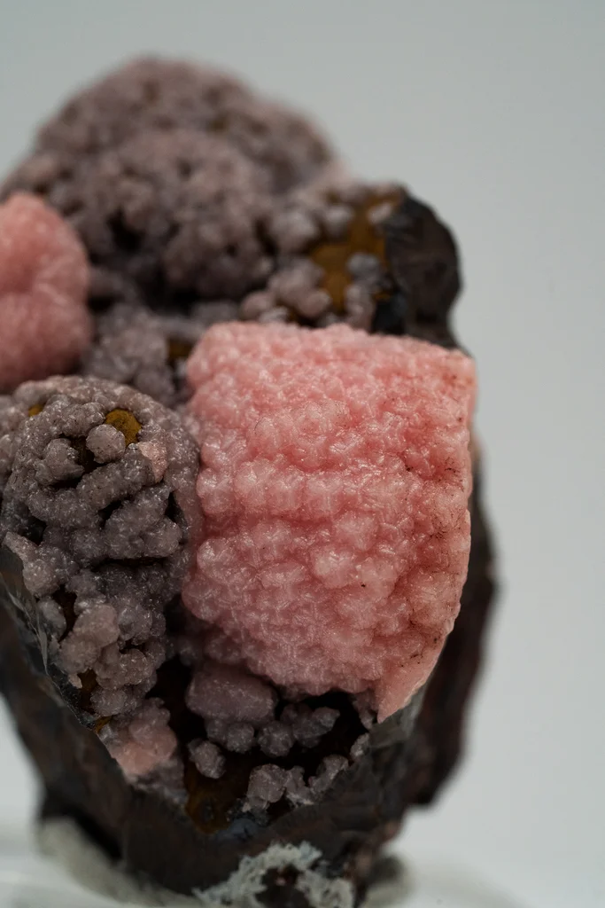 Rhodochrosite from N'Chwaning III Mine, N'Chwaning Mines, Northern Cape, South Africa - image 3