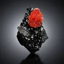 Rhodochrosite from N'Chwaning Mines, Northern Cape, South Africa - image 1