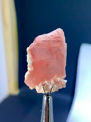 specimen video