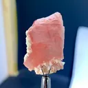 specimen video