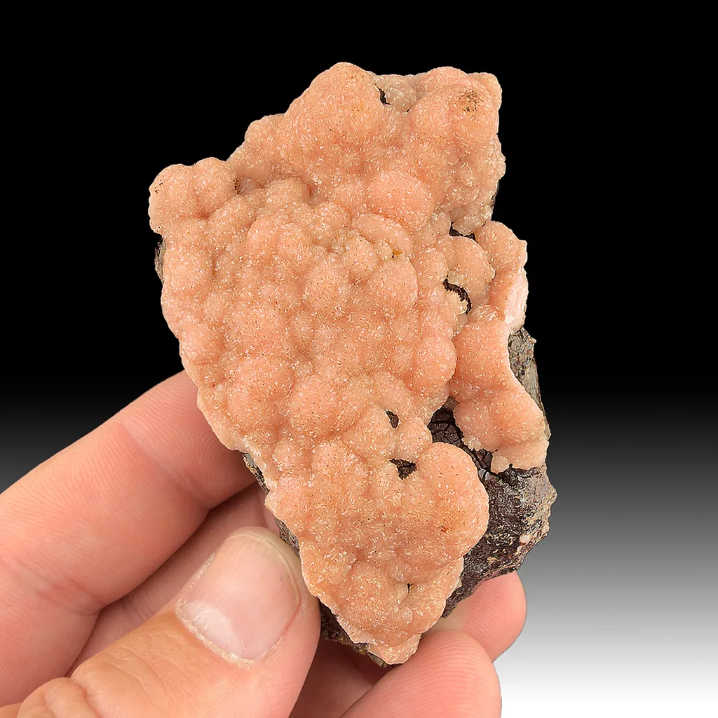 Rhodochrosite from Potosí Mine, Chihuahua, Mexico image