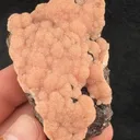 Rhodochrosite from Potosí Mine, Chihuahua, Mexico - image 2