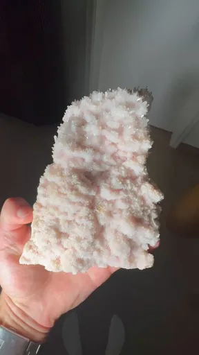 specimen video