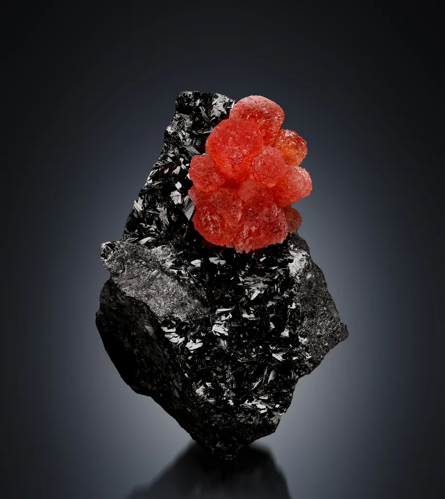 Rhodochrosite from South Africa, Northern Cape, N'Chwaning Mines image