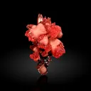 Rhodochrosite from South Africa, Northern Cape, N'Chwaning Mines - image 1