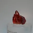 specimen video