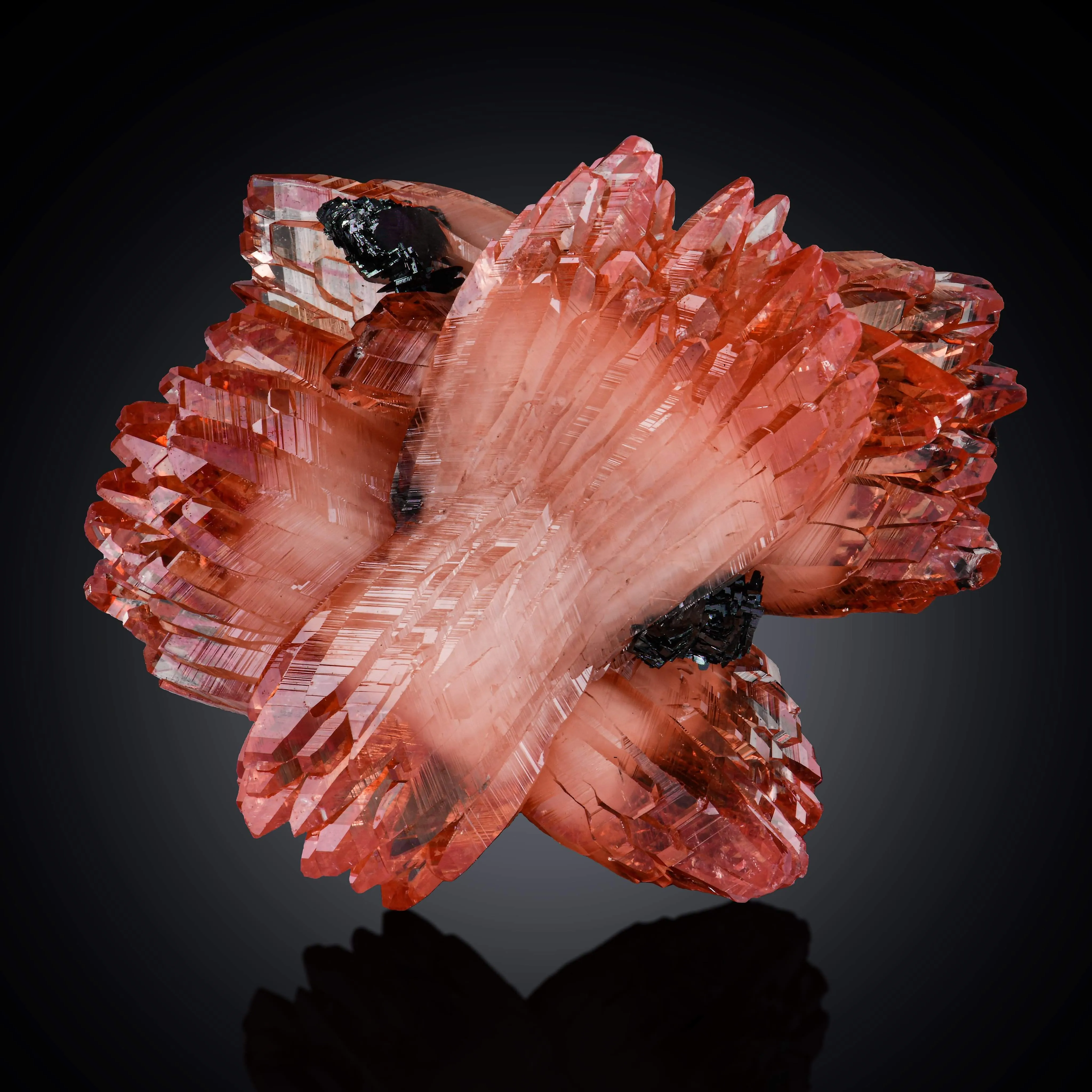 Rhodochrosite from South Africa, Northern Cape, N'Chwaning Mines, N'Chwaning I Mine - image 1