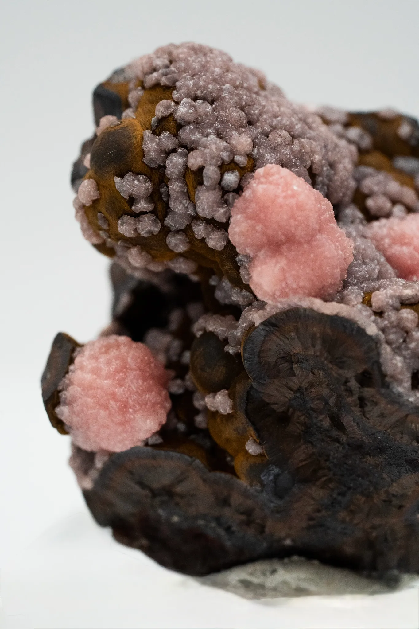Rhodochrosite from South Africa, Northern Cape, N'Chwaning Mines, N'Chwaning III Mine - image 6