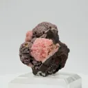 Rhodochrosite from South Africa, Northern Cape, N'Chwaning Mines, N'Chwaning III Mine - image 2