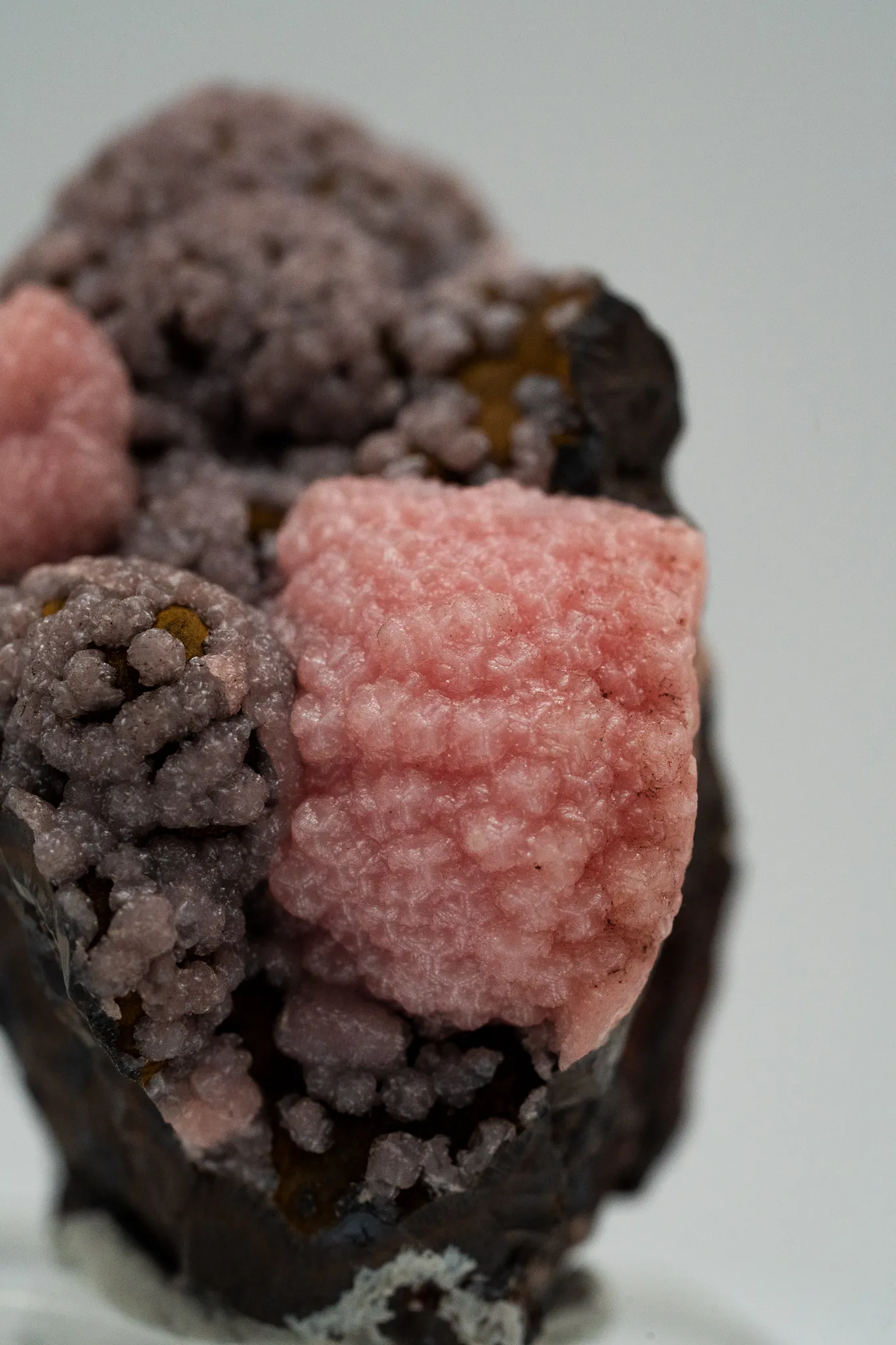Rhodochrosite from South Africa, Northern Cape, N'Chwaning Mines, N'Chwaning III Mine - image 3