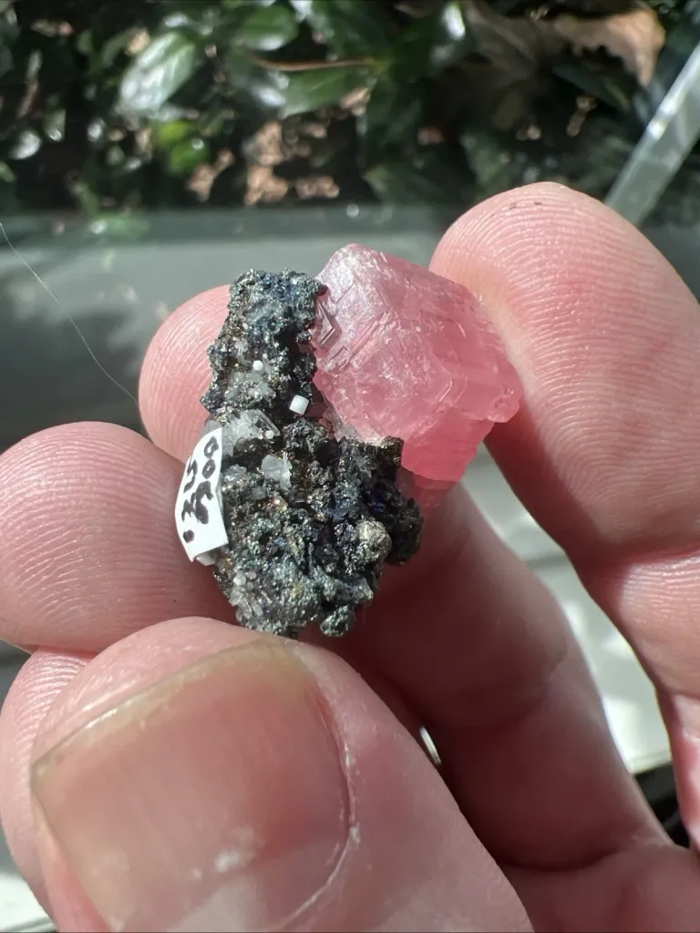 Rhodochrosite from Sweet Home Mine - 1215 - image 3