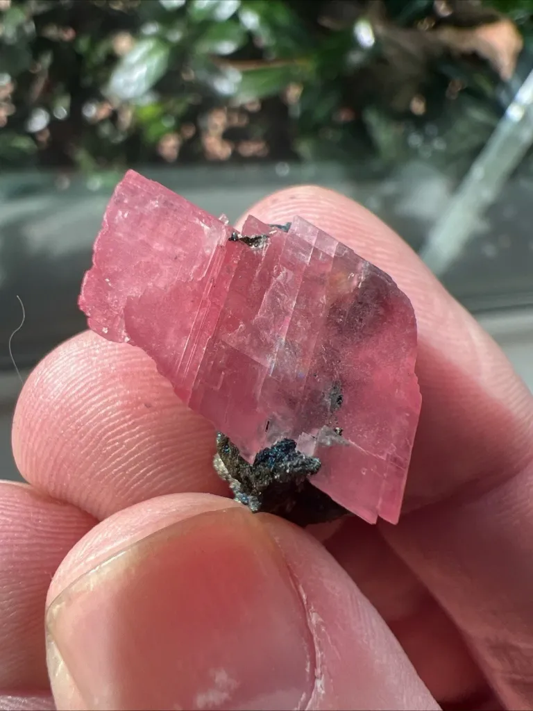 Rhodochrosite from Sweet Home Mine - 1215 image