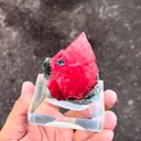 specimen video