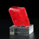 specimen video