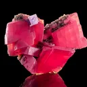 Rhodochrosite from USA, Colorado, Sweet Home Mine - image 1