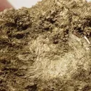 Rhodochrosite, Gageite - image 3