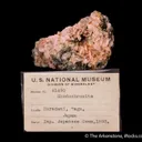 Rhodochrosite (Gift: Empire of Japan to USA in 1893) - image 1