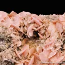 Rhodochrosite (Gift: Empire of Japan to USA in 1893) - image 5