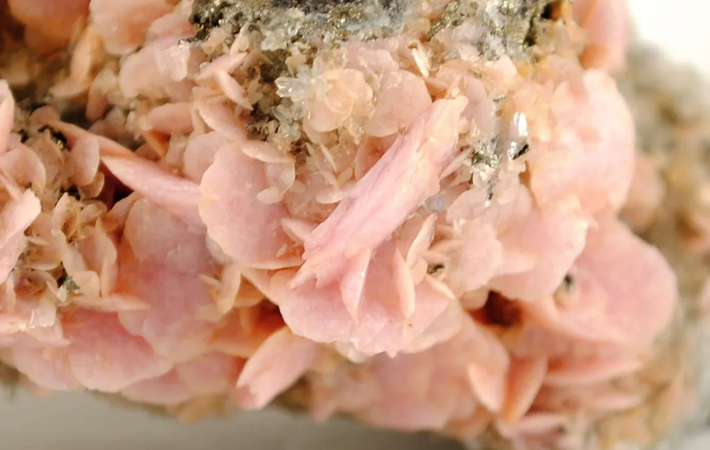 Rhodochrosite (Gift Of Japanese Commission, 1893, to Amnh) - image 4