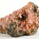 Rhodochrosite (Gift Of Japanese Commission, 1893, to Amnh) - image 2