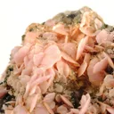 Rhodochrosite (Gift Of Japanese Commission, 1893, to Amnh) - image 3