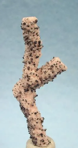 Rhodochrosite, Manganite image
