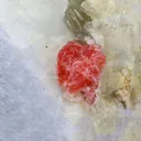 Rhodochrosite on Feldspar from Skardu Pakistan - image 1