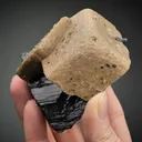 Rhodochrosite on Ferberite with Pyrite and Fluorite - image 2