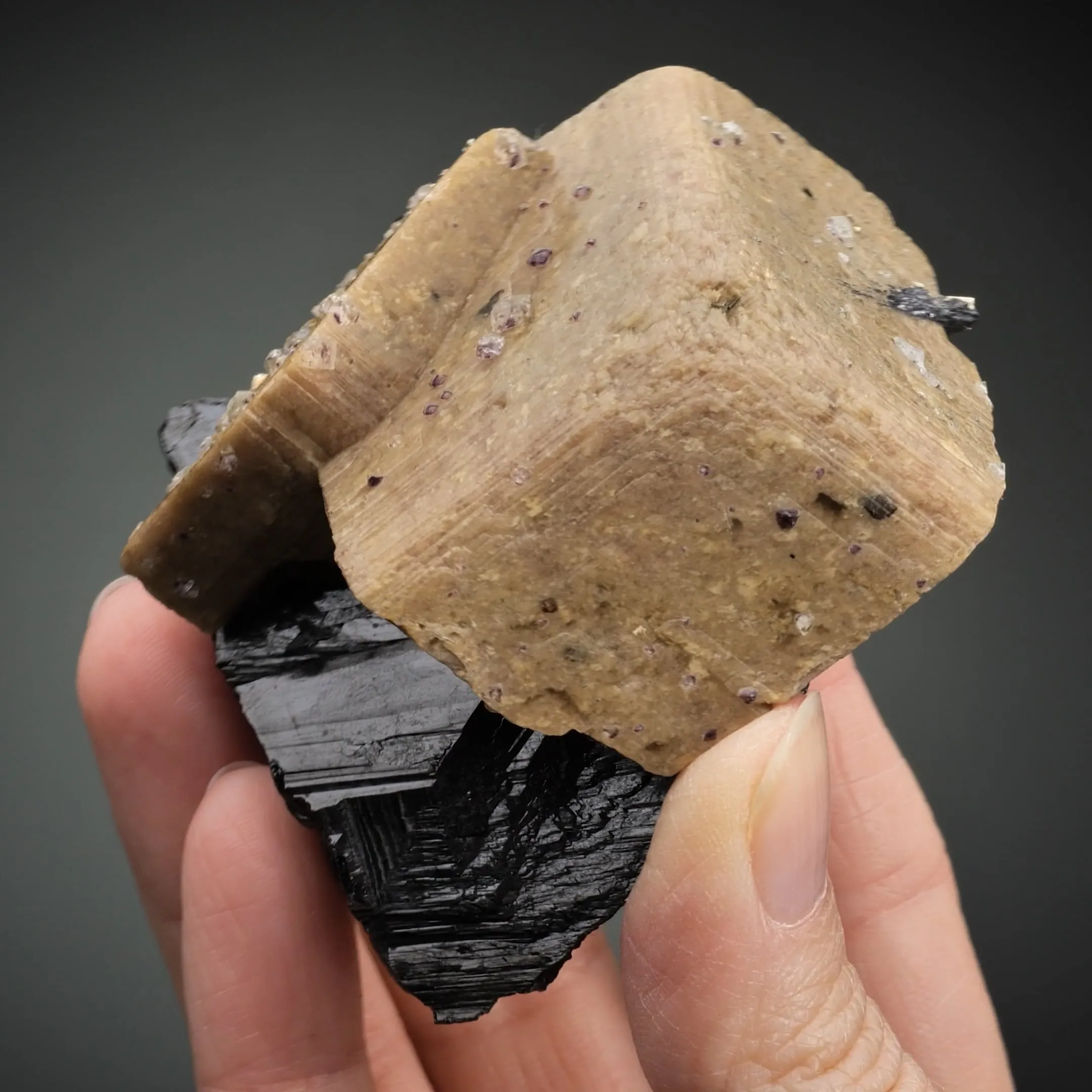 Rhodochrosite on Ferberite with Pyrite and Fluorite - image 2