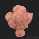 Rhodochrosite on Goethite - image 2
