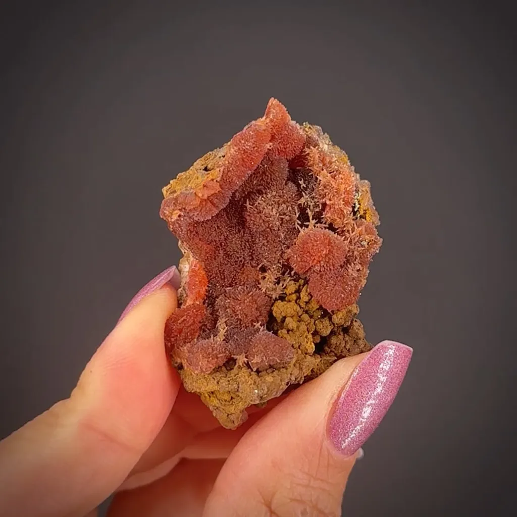 Rhodochrosite on Limonite - image 2