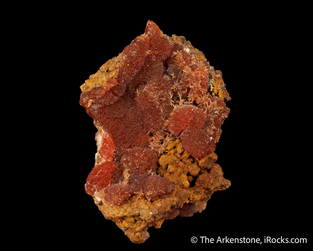 Rhodochrosite on Limonite image