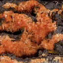 Rhodochrosite on Limonite - image 5