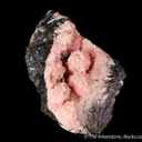 Rhodochrosite on Manganite - image 4