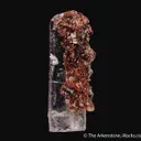 Rhodochrosite on Natrolite - image 1