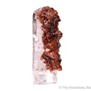 Rhodochrosite on Natrolite - image 5