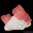 Rhodochrosite on Quartz - image 5