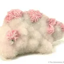 Rhodochrosite on Quartz - image 1
